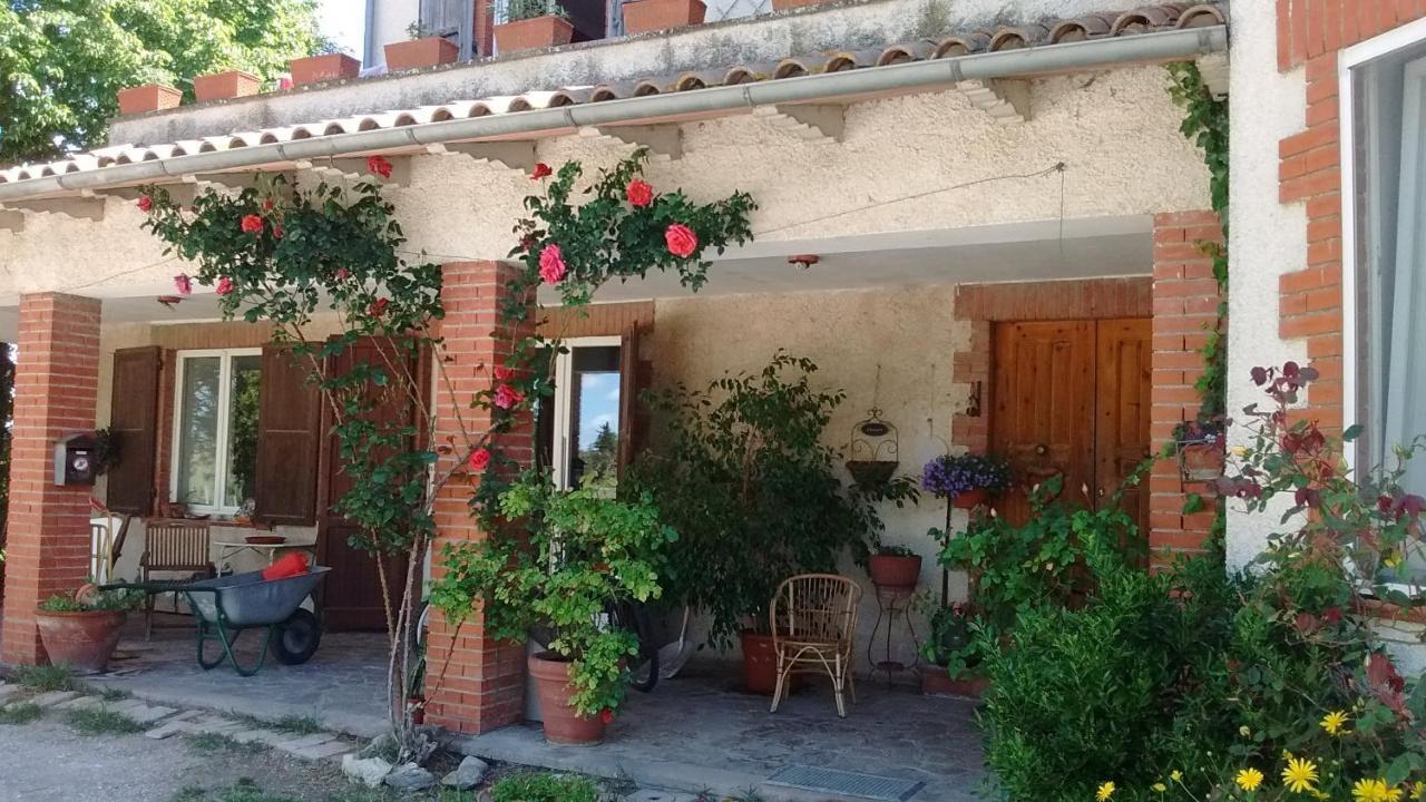B&B La Gallinella Rossa Baschi Exteriör bild