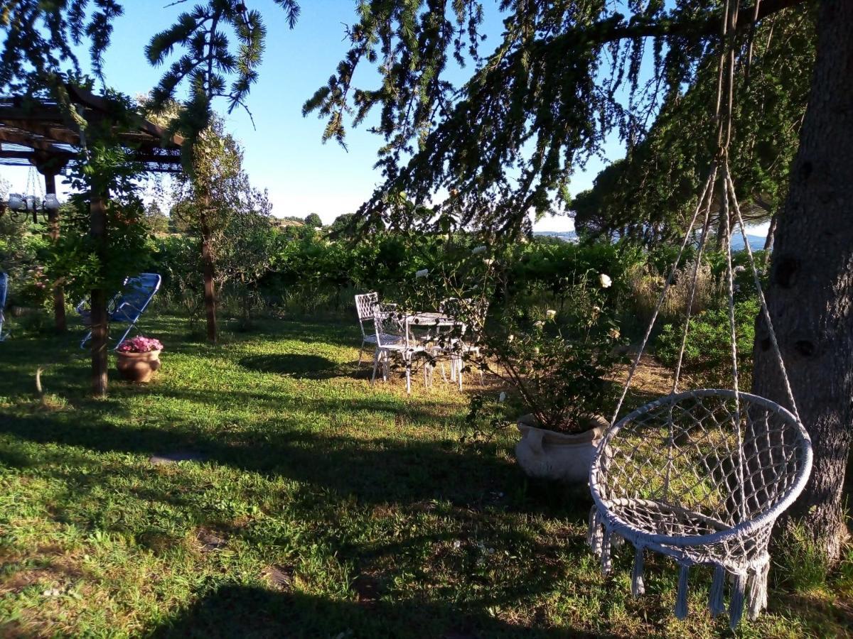 B&B La Gallinella Rossa Baschi Exteriör bild