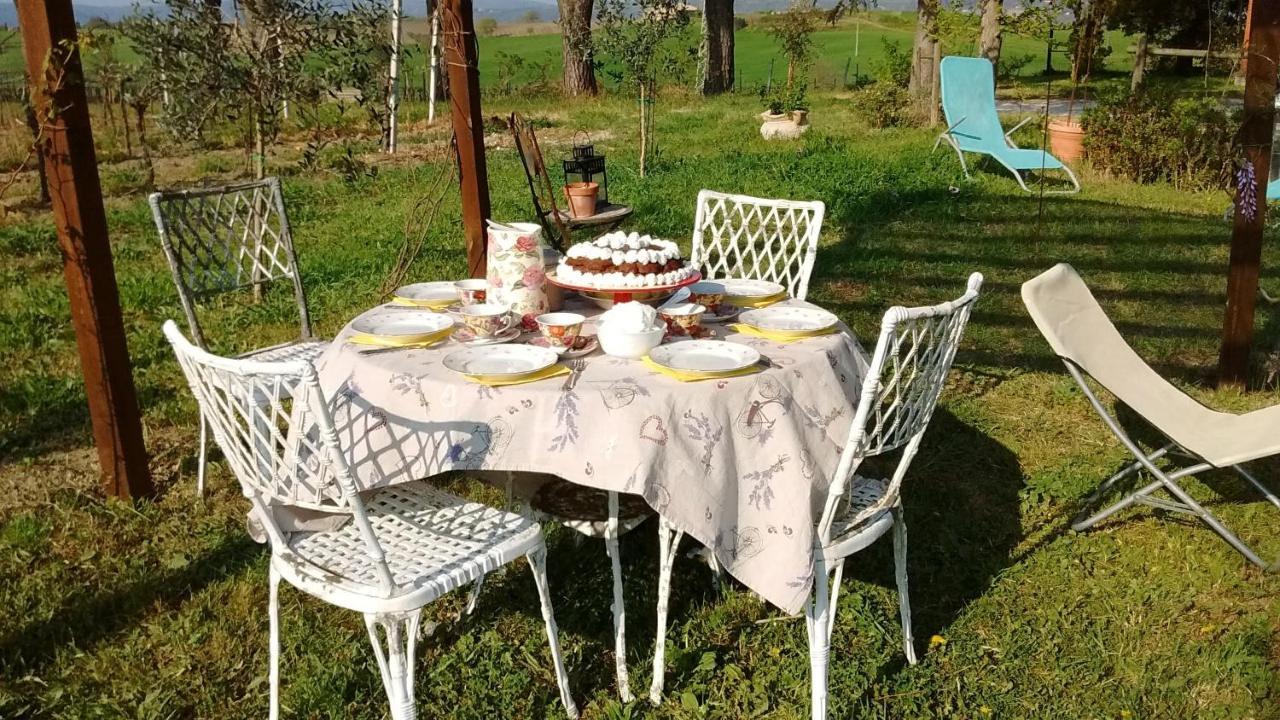 B&B La Gallinella Rossa Baschi Exteriör bild