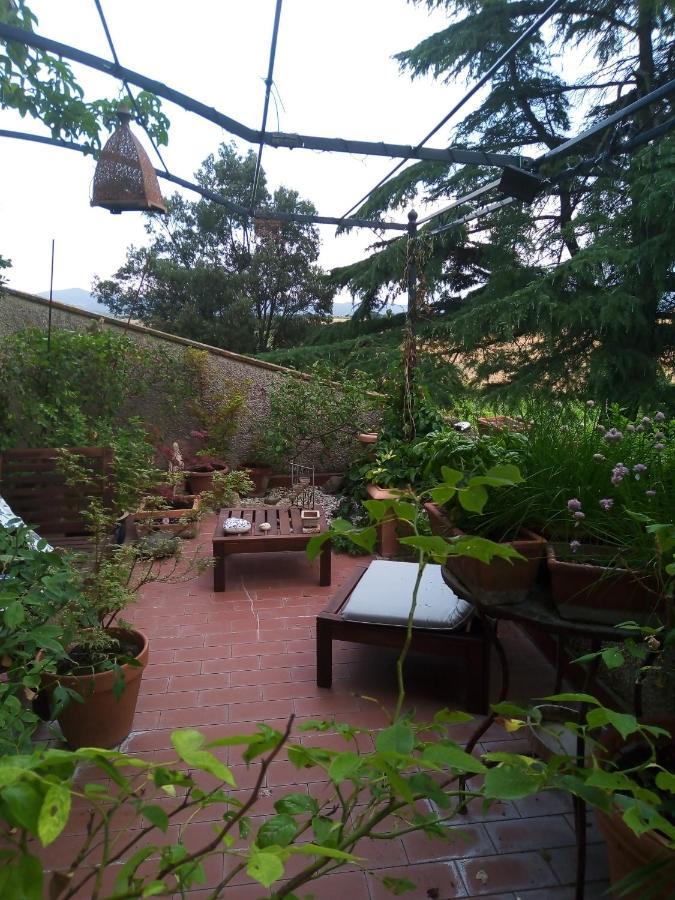 B&B La Gallinella Rossa Baschi Exteriör bild