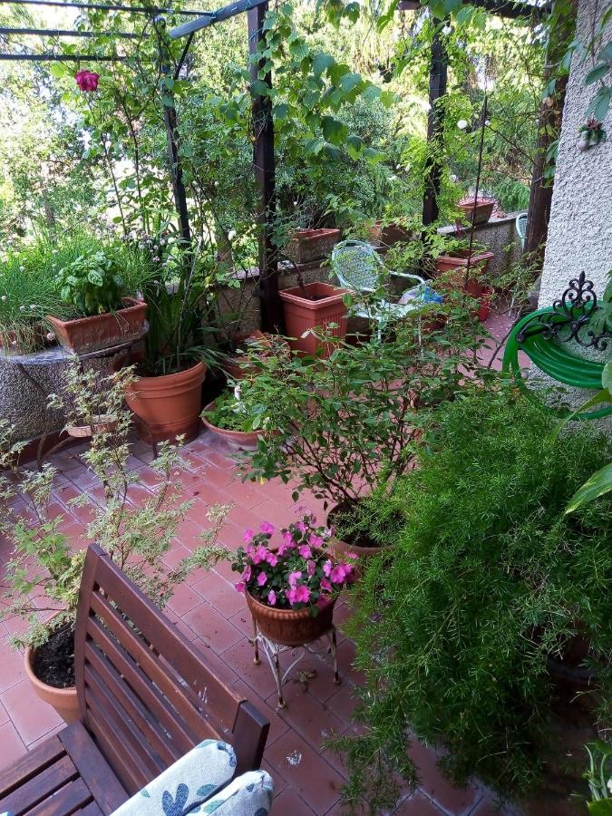B&B La Gallinella Rossa Baschi Exteriör bild
