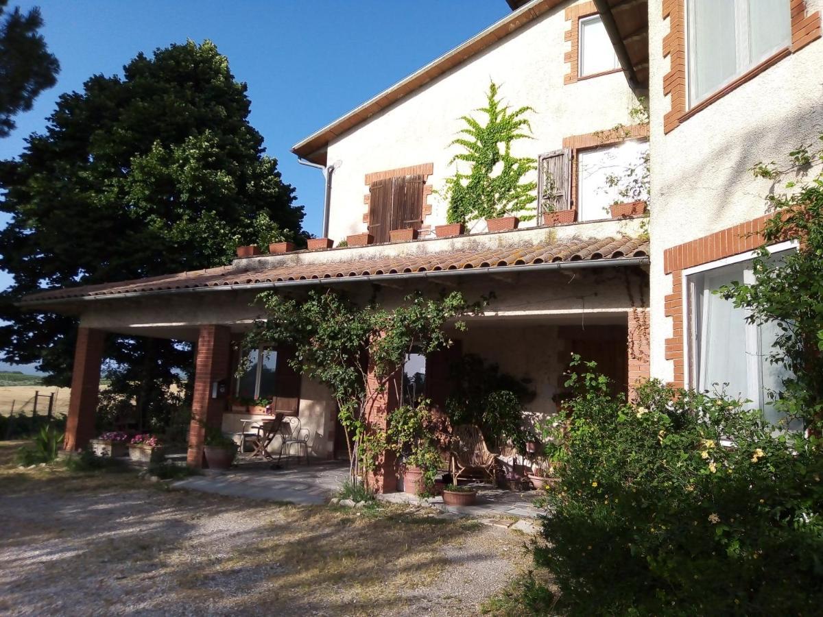 B&B La Gallinella Rossa Baschi Exteriör bild