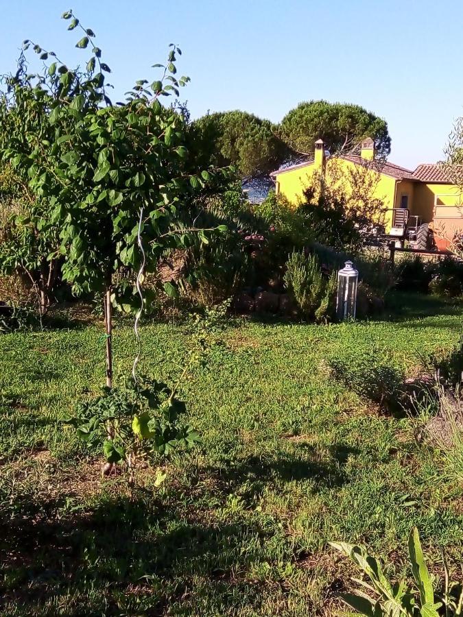 B&B La Gallinella Rossa Baschi Exteriör bild