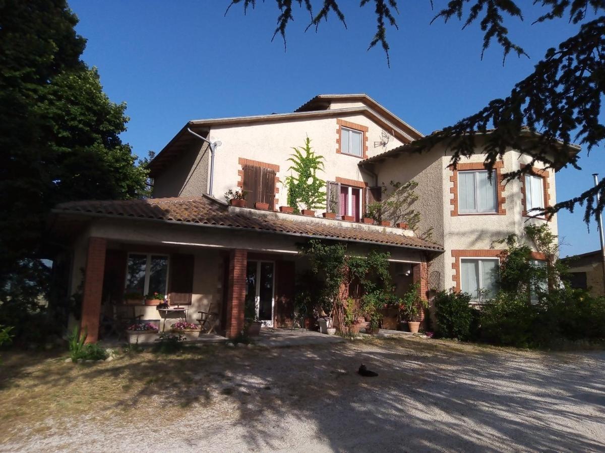 B&B La Gallinella Rossa Baschi Exteriör bild